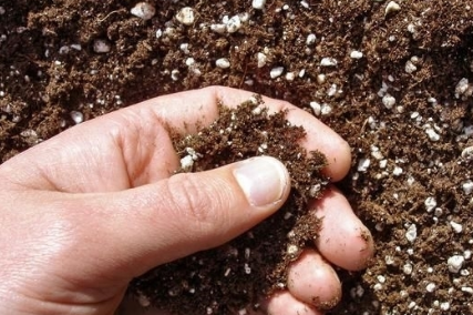土壤板结的四大原因，看看你家的属于哪一种