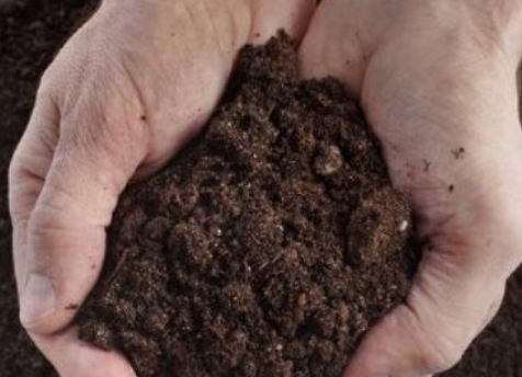 提高耕地质量为什么要用土壤调理剂？专家带来了解决方法！