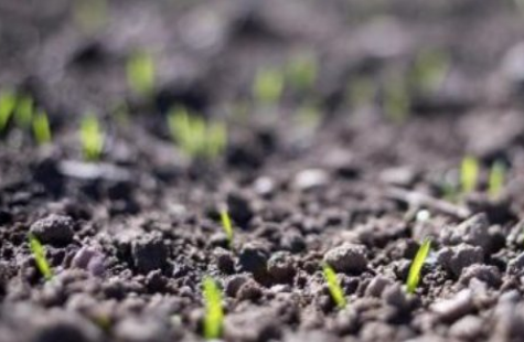 提高耕地质量为什么要用土壤调理剂？专家带来了解决方法！