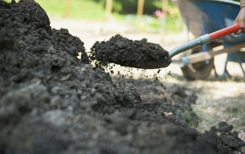 农家粪肥对土壤作物是个宝，但掌握好粪肥特性、科学使用是关键
