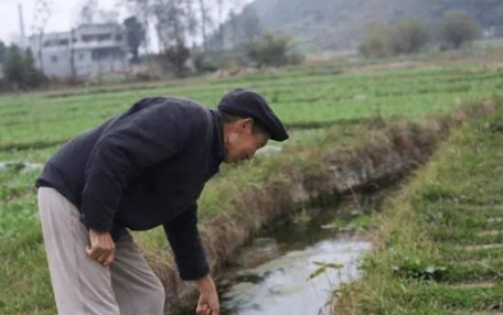 健康的土壤衍生生态农业