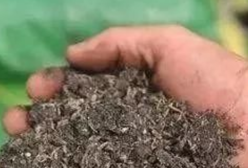 基肥改良土壤，改善农作物品质