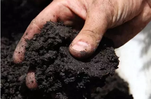 如何给土壤增肥