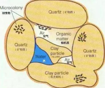 土壤板结都起皮结块了，怎么破？首先得知道板结原因