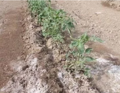 不同质地土壤的施肥方法