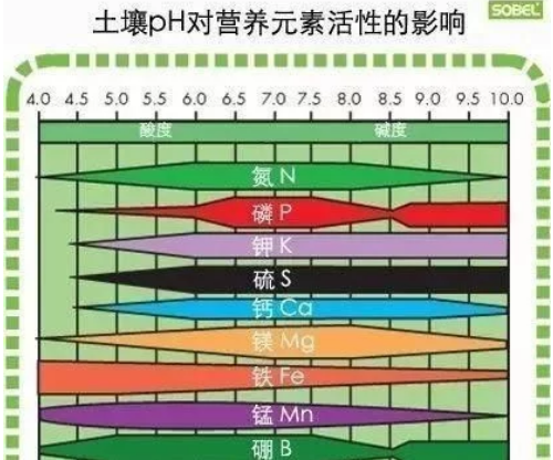 土壤环境与根系的关系