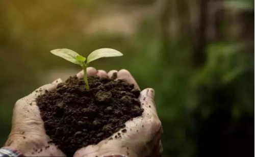 修复土壤、改善环境、帮助作物提质增效......微生物肥料都能做到!