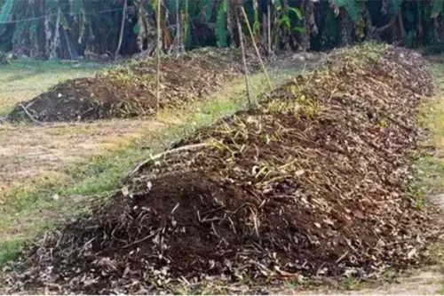 连番施肥种植，土壤被压榨一空，采取何种方式恢复土壤肥力