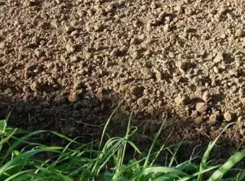 怎么判断土壤好坏，如何提高土壤肥力?了解这些，收益翻倍