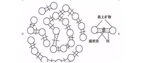 土壤里面学问大，搞不清楚瞎种地！