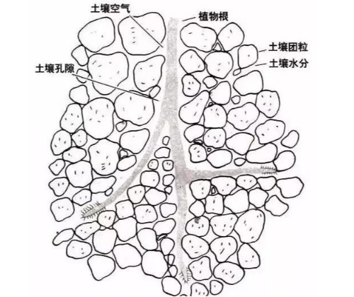 土壤里面学问大，搞不清楚瞎种地！