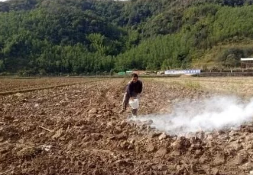 生石灰改良土壤很有效，但要做对这四点