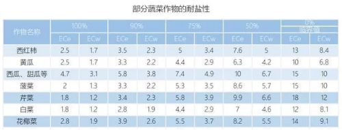 菜田土壤盐渍化问题突出，20年植保经验告诉你如何有效解决！