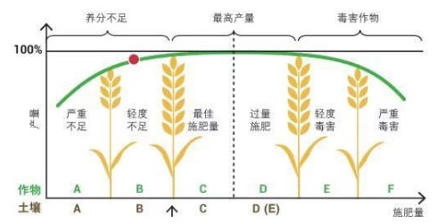 菜田土壤盐渍化问题突出，20年植保经验告诉你如何有效解决！