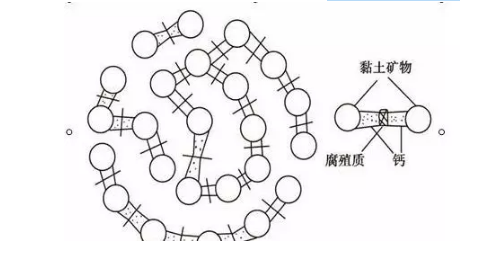 土壤里面学问大，搞不清楚瞎种地！
