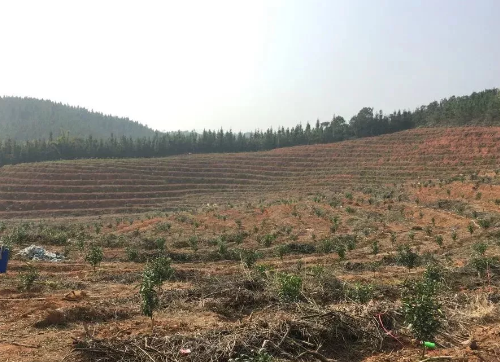 不懂土壤，用的肥用的药都是浪费！