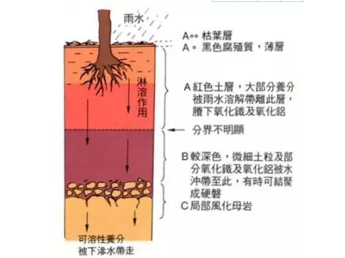 不懂土壤，用的肥用的药都是浪费！