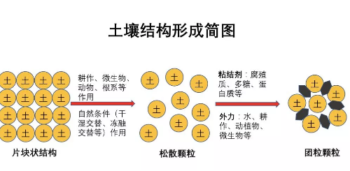 不懂土壤，用的肥用的药都是浪费！