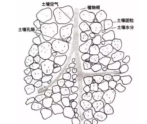 土壤里面学问大，搞不清楚瞎种地！