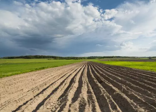 土壤修复市场空间高达5万亿元，对农资企业来说是机遇还是挑战？