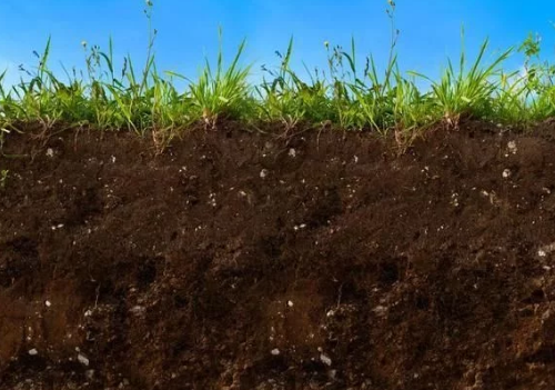 怎样做能让土壤变得肥沃？