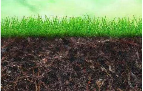 微生物土壤改良剂如何改善土壤