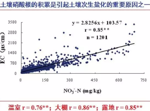 土壤问题究竟出在哪儿？