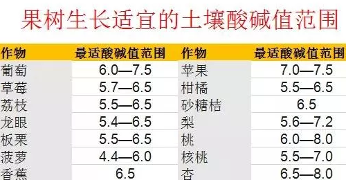 约3.7亿亩耕地，需要进行土壤改良！