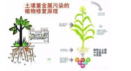 你的土壤是否还是它原本的那个样子？