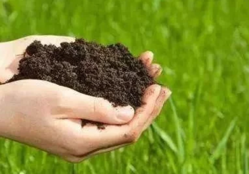 理想的健康土壤该是什么样？
