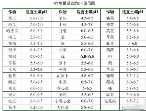 这才是健康的土壤该有的样子，土壤改良你就从这几个方面下手