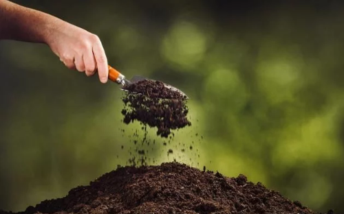 土壤也需要喂养，只有健康的土壤，才是农业的根本，人类才有未来