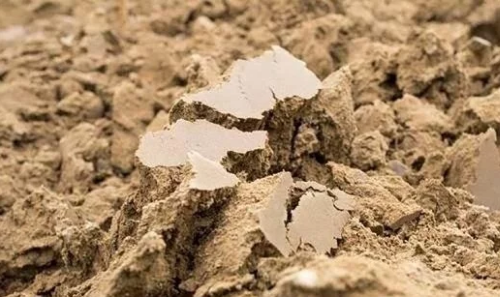 高标准农田为什么需要土壤改良？土壤改良的意义在哪