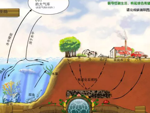 土壤污染是什么？污染物有哪些？