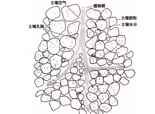 土壤里面学问大，搞不清楚瞎种地！