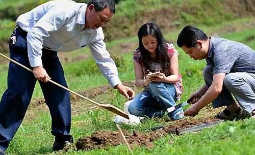 拿什么拯救你，我们赖以生存的土壤？