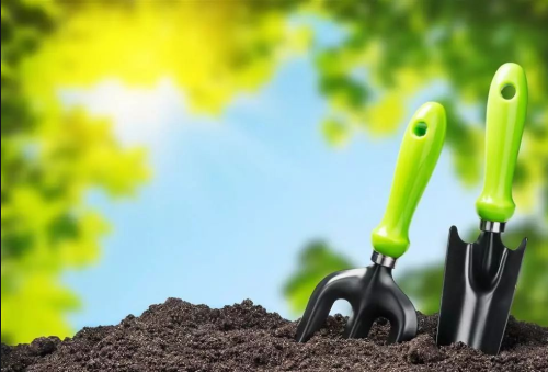 有机肥对改良土壤的5大作用