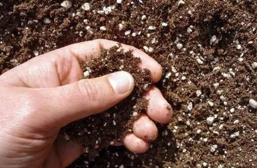 警告：土壤中没有它，肥料用再多也白瞎！