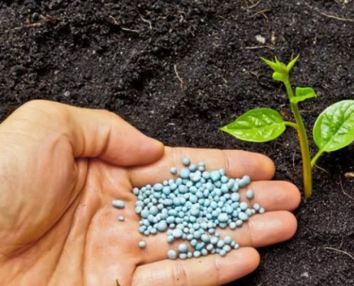 有机肥料对土壤和作物的影响有哪些