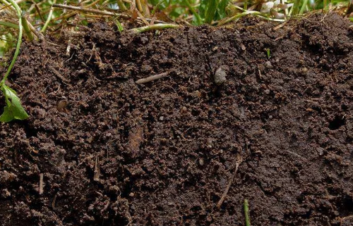 土壤修复方法有哪些，哪种土壤修复方法最有效？值得借鉴