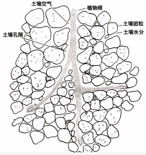 土壤里面学问大，搞不清楚瞎种地！