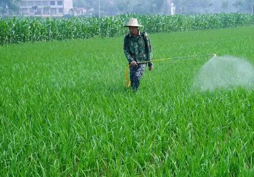 土壤农药污染与微生物修复技术