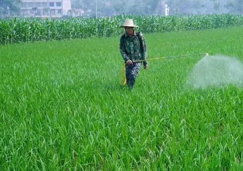 土壤农药污染与微生物修复技术