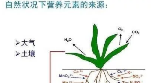 秸秆还田到底对土壤有没有好处呢？