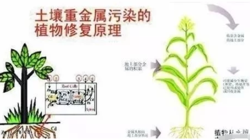 土壤健康的标准是什么？