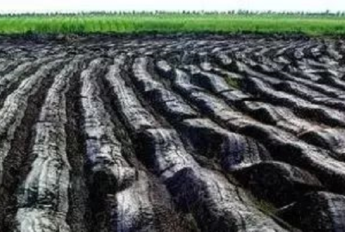 没有高精尖，农民如何判断土壤肥瘦？10个土办法，管用！