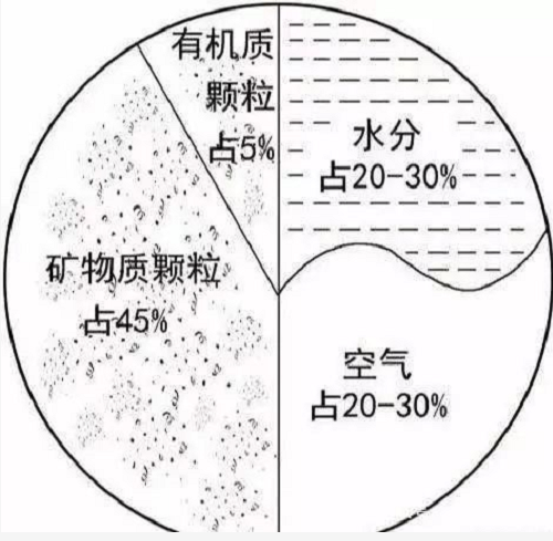 从本质上讲，所有的生命都依赖于土壤！