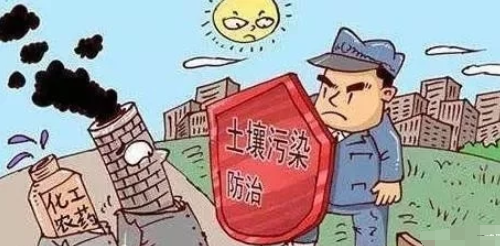 理想的健康土壤该是什么样？