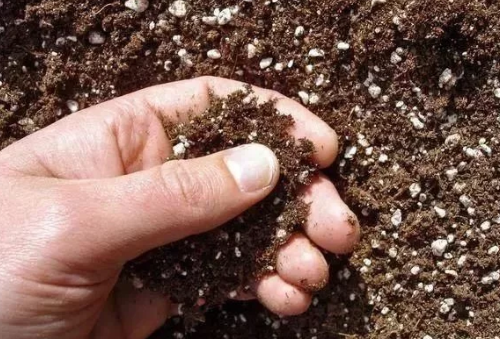 警告：土壤中没有它，肥料用再多也白瞎