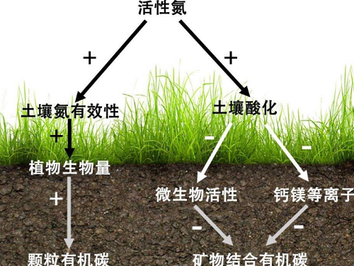 土壤颜色发生变化说明土壤出了大问题......！